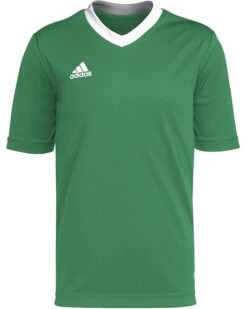 adidas Kids Entrada22 Jersey (Little Kids/Big Kids) | Shirts & Tops -Dasadi Store 617UWrAhoL. AC SR736920