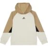adidas Kids Colorblock Hooded Pullover (Big Kids) | Hoodies & Sweatshirts