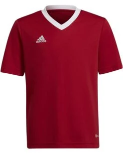 adidas Kids Entrada22 Jersey (Little Kids/Big Kids) | Shirts & Tops -Dasadi Store 61JbZTQhzrL. AC SR736920