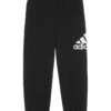 adidas Kids Essential Graphic Fleece Joggers (Big Kid) | Pants