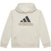 adidas Kids Essential Hooded Pullover (Big Kids) | Hoodies & Sweatshirts