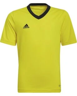 adidas Kids Entrada22 Jersey (Little Kids/Big Kids) | Shirts & Tops -Dasadi Store 61Uoqs1FvOL. AC SR736920