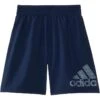 adidas Kids Big Logo Woven Short 24(Big Kid) | Shorts