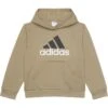 adidas Kids Essential Hooded Pullover (Big Kids) | Hoodies & Sweatshirts