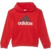 adidas Kids Essential Hooded Pullover (Big Kid) | Hoodies & Sweatshirts