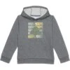 adidas Kids Brand Graphic Heather Fleece (Toddler/Little Kid) | Hoodies & Sweatshirts