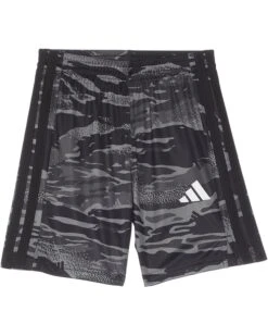adidas Kids Aop Tiger Camo Shorts (Toddler/Little Kids)