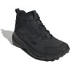 adidas Outdoor Terrex Trailmaker 2 Leather Hiking Shoes