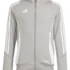 adidas Kids Tiro24 Training Jacket (Little Kids/Big Kids) | Coats & Outerwear