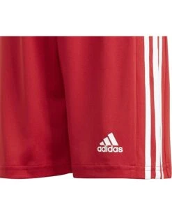 adidas Kids Squadra 21 Shorts (Little Kids/Big Kids) -Dasadi Store 91L20NtcDYL. AC SR736920